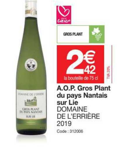 a.o.p. gros plant du pays nantais sur lie domaine de l'errière 2019