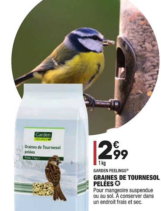 graines de tournesol pelées garden feelings