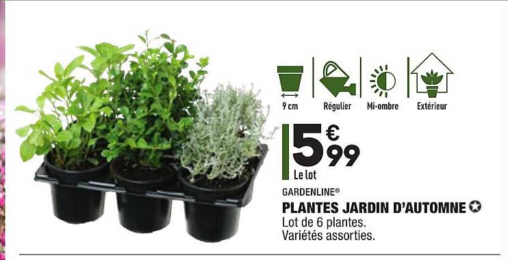 plantes jardin d'automne gardenline