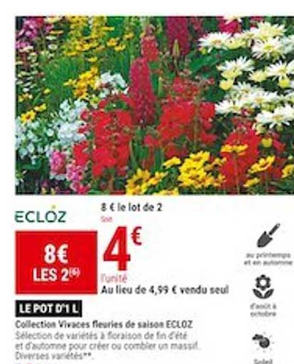 collection vivaces fleuries de saison ecloz