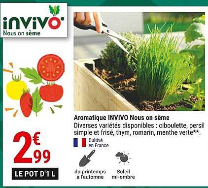 aromatique invivo nous on sème