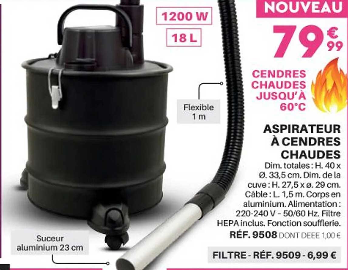 aspirateur à cendres chaudes