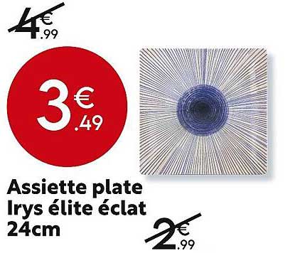 assiette plate irys élite éclat 24 cm