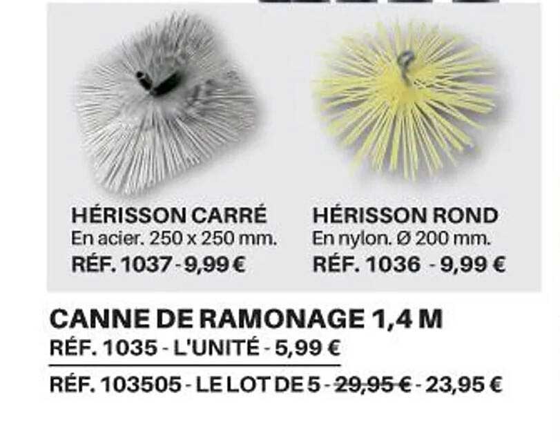 Canne De Ramonage