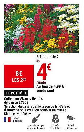 collection vivaces fleuries de saison ecloz