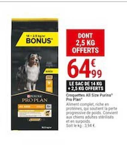 croquettes all size purina pro plan