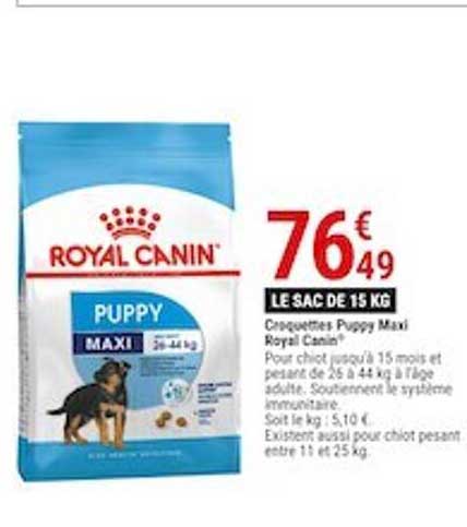croquettes puppy maxi royal canin
