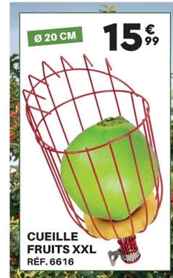 Cueille Fruits XXL