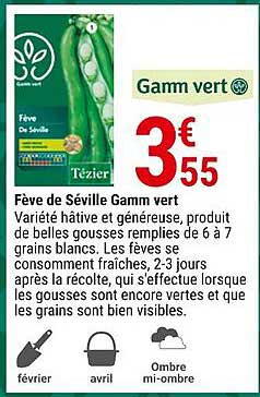 fève de séville gamm vert
