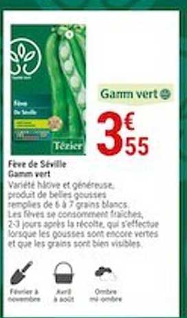 fève de séville gamm vert