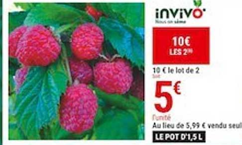 le lot de 2 invivo nous on sème