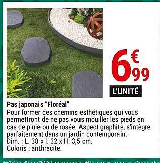 pas japonais "floréal"