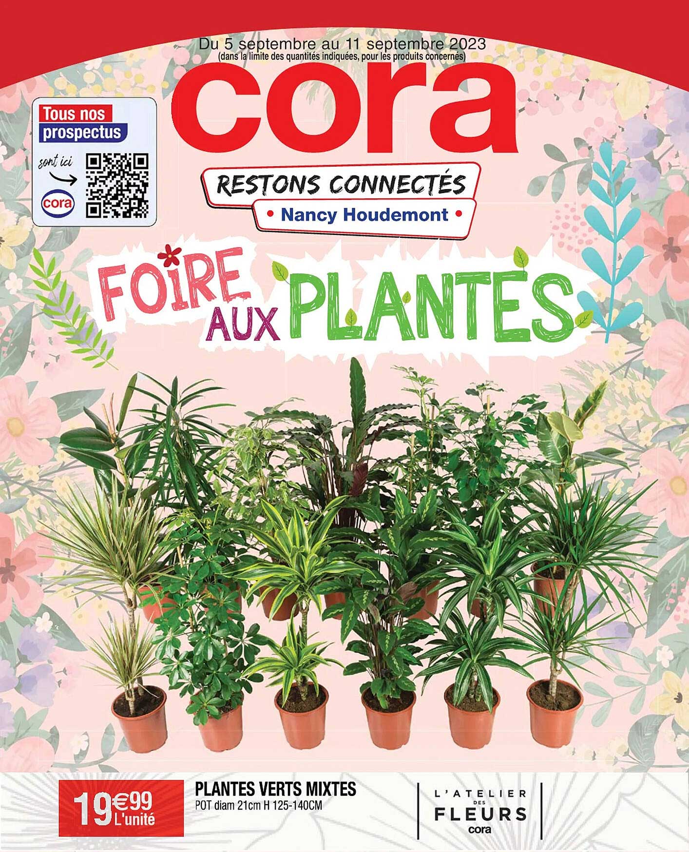 Plantes Verts Mixtes