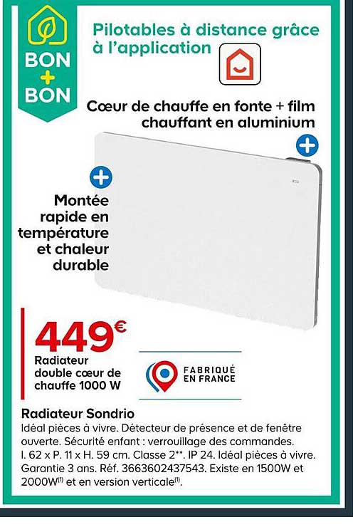 radiateur double cœur de chauffe 1000w sondrio