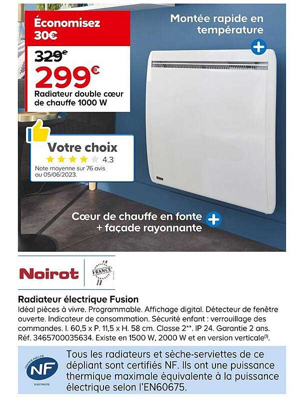 radiateur double cœur de chauffe électrique 1000w fusion noirot