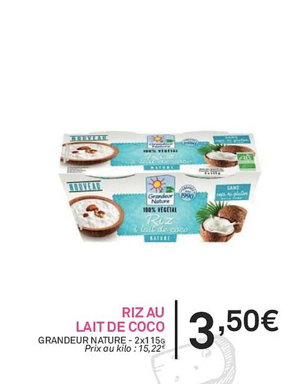 riz au lait de coco grandeur nature