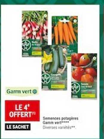 semences potagères gamm vert