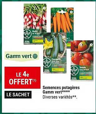semences potagères gamm vert