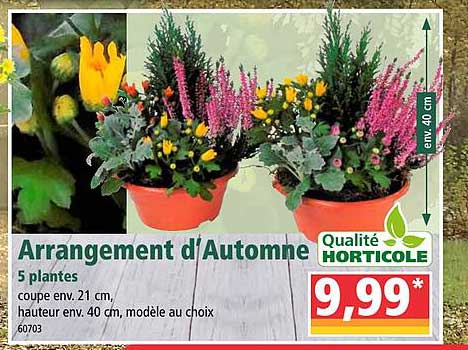 arrangement d'automne