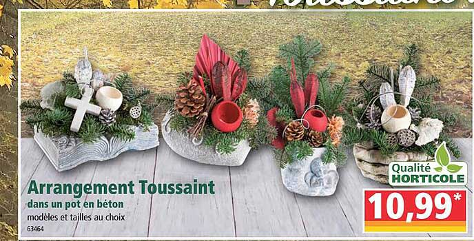 arrangement toussaint dans un pot en béton