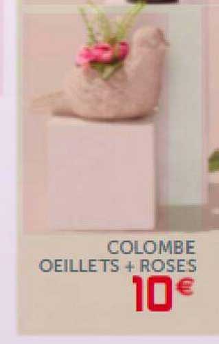 colombe oeillets + roses