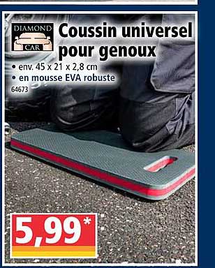 coussin universel pour genoux diamond car