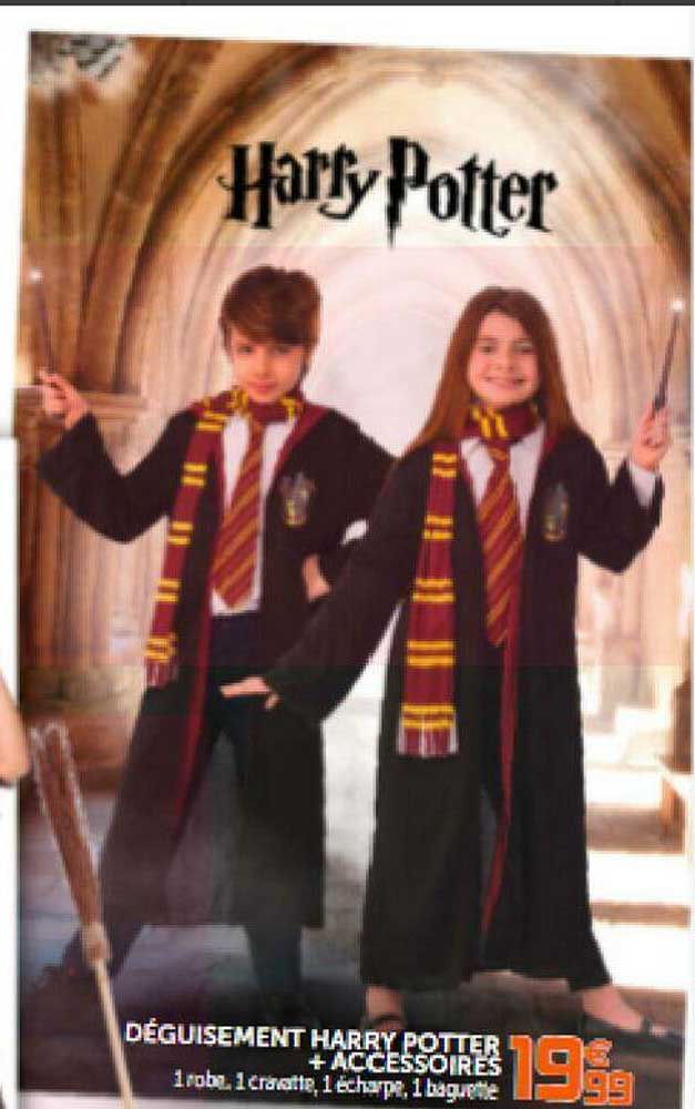 déguisement harry potter + accessoires