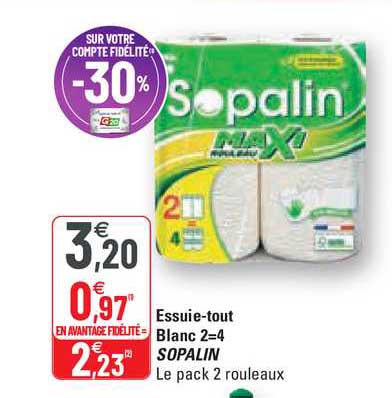 essuie-tout blanc 2=4 sopalin