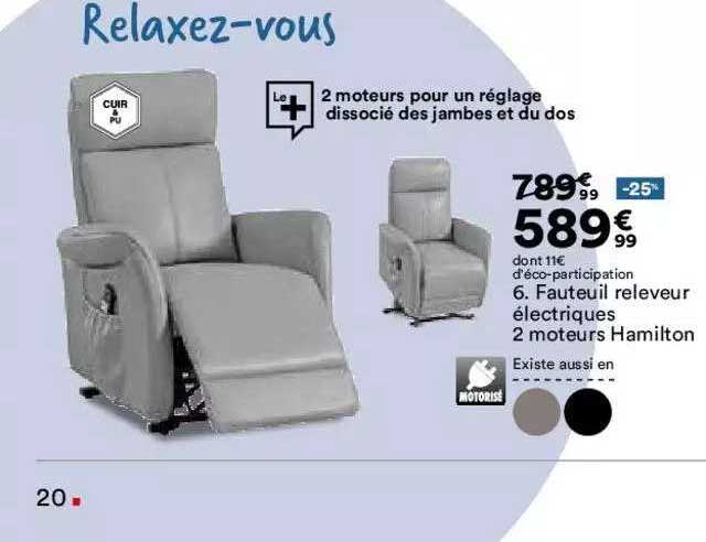 fauteuil releveur électriques 2 moteurs hamilton