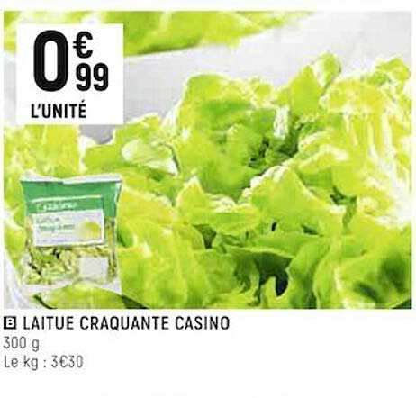 Laitue Craquante Casino