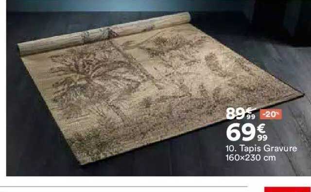 tapis gravure 160 x 230 cm