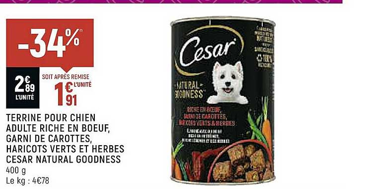 terrine pour chien adulte riche en boeuf, garni de carottes, haricots verts et herbes césar natural goodness