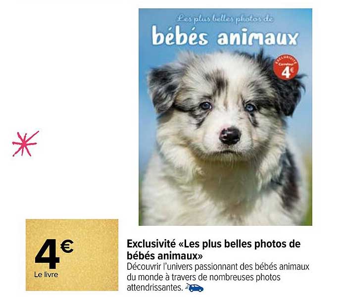 Exclusivité «les Plus Belle Photos De Bébés Animaux»