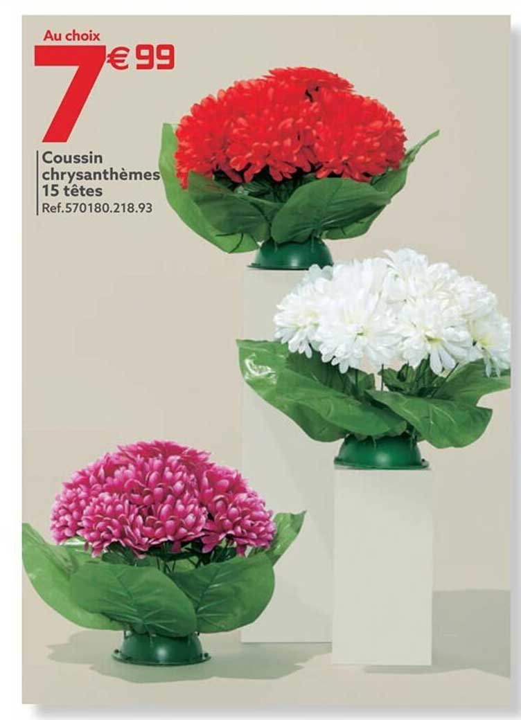 coussin chrysanthèmes 15 têtes