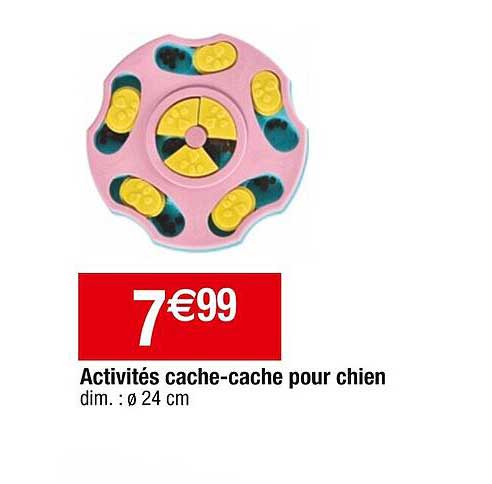 activités cache-cache pour chien