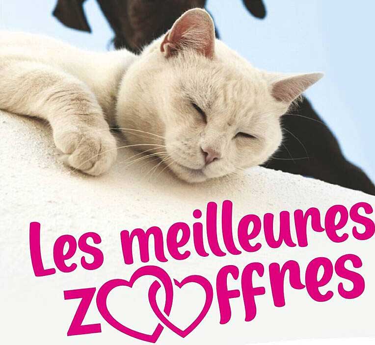 les meilleures zooffres