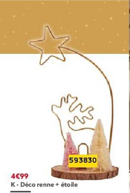déco renne + étoile