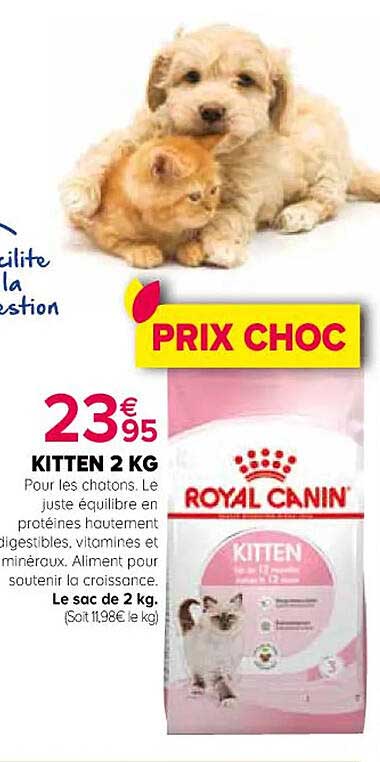 kitten 2 kg royal canin