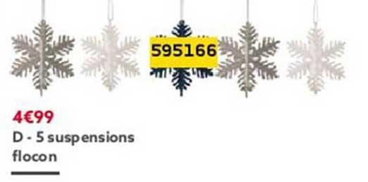 5 Suspensions Flocon