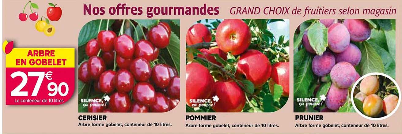 cerisier, pommier, prunier
