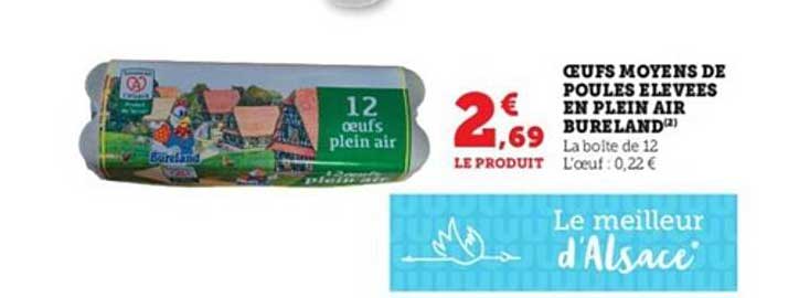 œufs moyens de poules élevées en plein air bureland