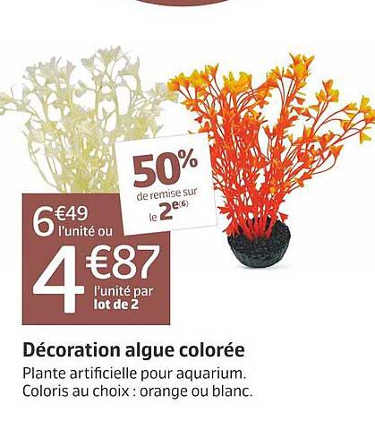 décoration algue colorée