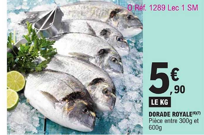 Dorade Royale