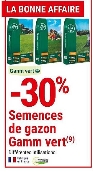semences de gazon gamm vert