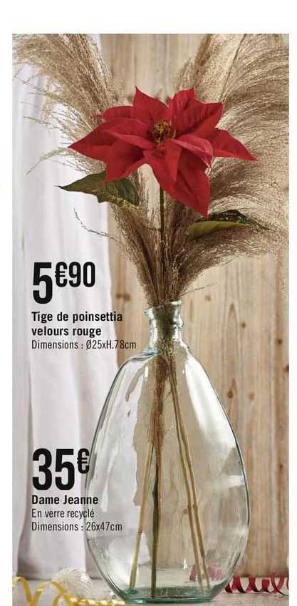 tige de poinsettia velours rouge, dame jeanne