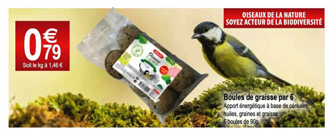 boules de graisse par 6