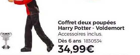 coffret deux poupées harry potter voldemort
