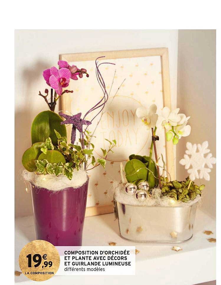 composition d'orchidée et plante avec décors et guirlande lumineuse
