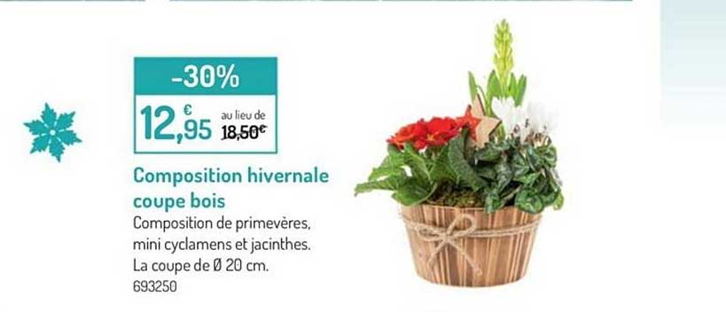 composition hivernale coupe bois