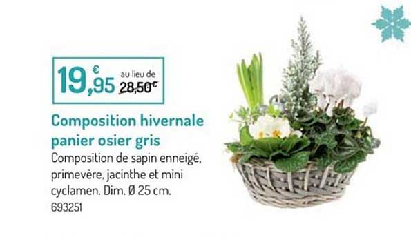 composition hivernale paniers osier gris